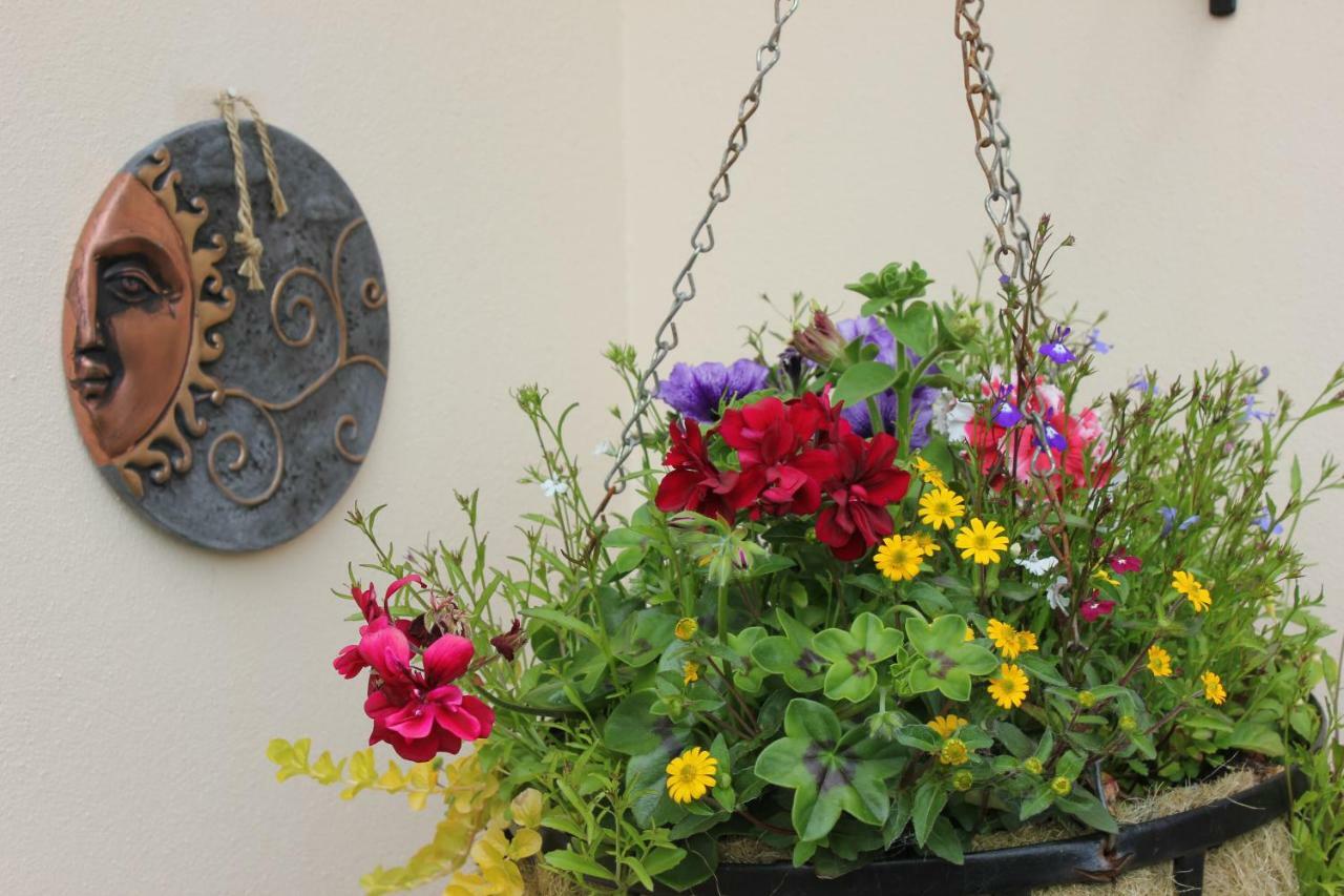 Ty Melin Bed & Breakfast Pembroke Dock Exterior photo
